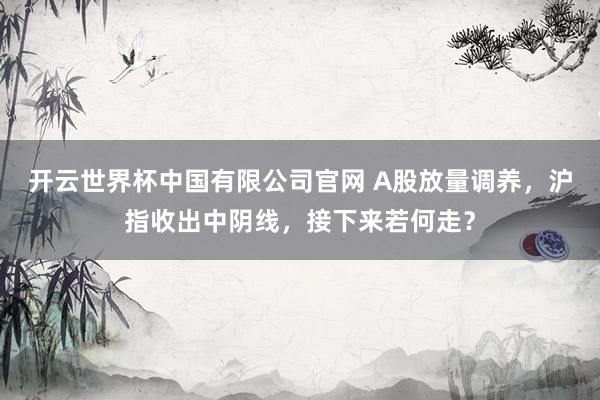 开云世界杯中国有限公司官网 A股放量调养,沪指收出中阴线,接下来若何走?