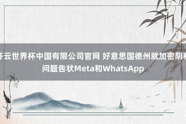 开云世界杯中国有限公司官网 好意思国德州就加密阴私问题告状Meta和WhatsApp