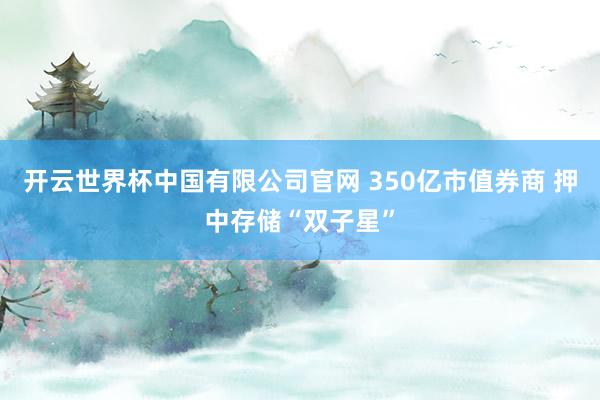 开云世界杯中国有限公司官网 350亿市值券商 押中存储“双子星”