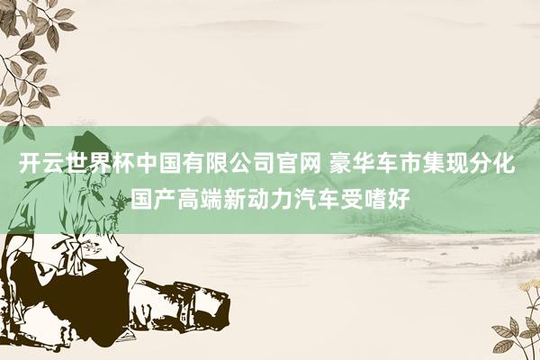 开云世界杯中国有限公司官网 豪华车市集现分化 国产高端新动力汽车受嗜好