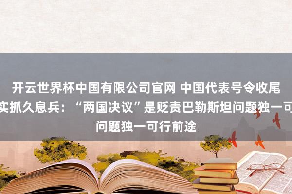 开云世界杯中国有限公司官网 中国代表号令收尾加沙着实抓久息兵:“两国决议”是贬责巴勒斯坦问题独一可行前途