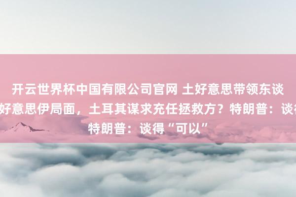 开云世界杯中国有限公司官网 土好意思带领东谈主通话谈好意思伊局面,土耳其谋求充任拯救方?特朗普:谈得“可以”
