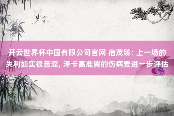 开云世界杯中国有限公司官网 宿茂臻: 上一场的失利如实很苦涩, 泽卡高准翼的伤病要进一步评估