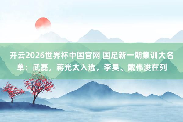 开云2026世界杯中国官网 国足新一期集训大名单：武磊，蒋光太入选，李昊、戴伟浚在列