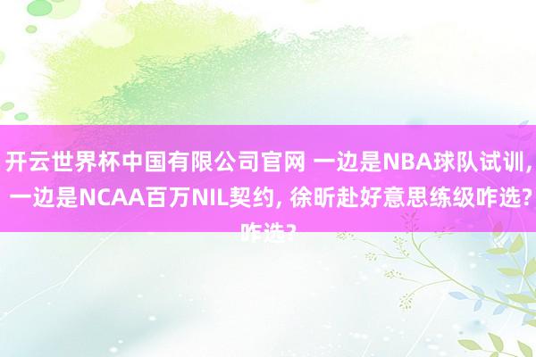 开云世界杯中国有限公司官网 一边是NBA球队试训, 一边是NCAA百万NIL契约, 徐昕赴好意思练级咋选?