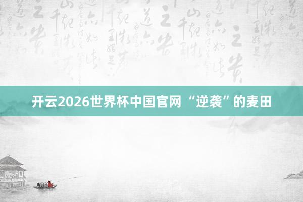 开云2026世界杯中国官网 “逆袭”的麦田