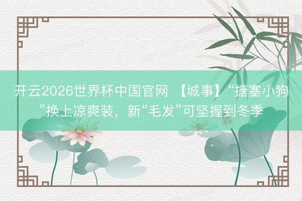 开云2026世界杯中国官网 【城事】“搪塞小狗”换上凉爽装,新“毛发”可坚握到冬季