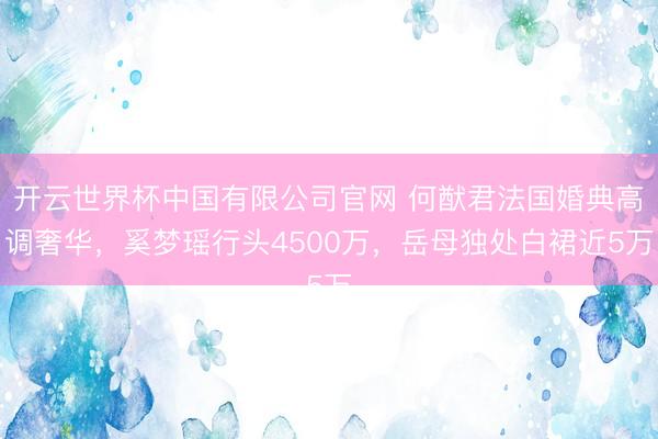 开云世界杯中国有限公司官网 何猷君法国婚典高调奢华,奚梦瑶行头4500万,岳母独处白裙近5万