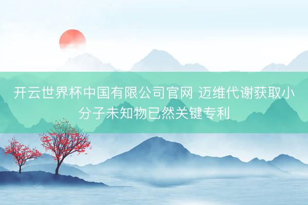 开云世界杯中国有限公司官网 迈维代谢获取小分子未知物已然关键专利